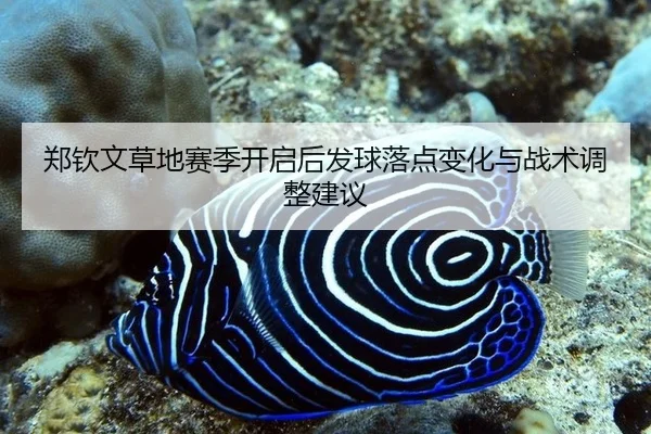 zheng-qin-wen-cao-di-sai-ji-kai-qi-hou-fa-qiu-luo-dian-bian-hua-yu-zhan-shu-tiao-zheng-jian-yi-2-244.jpg